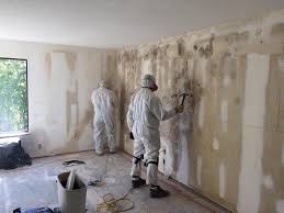 Best Real Estate Mold Inspection in USA